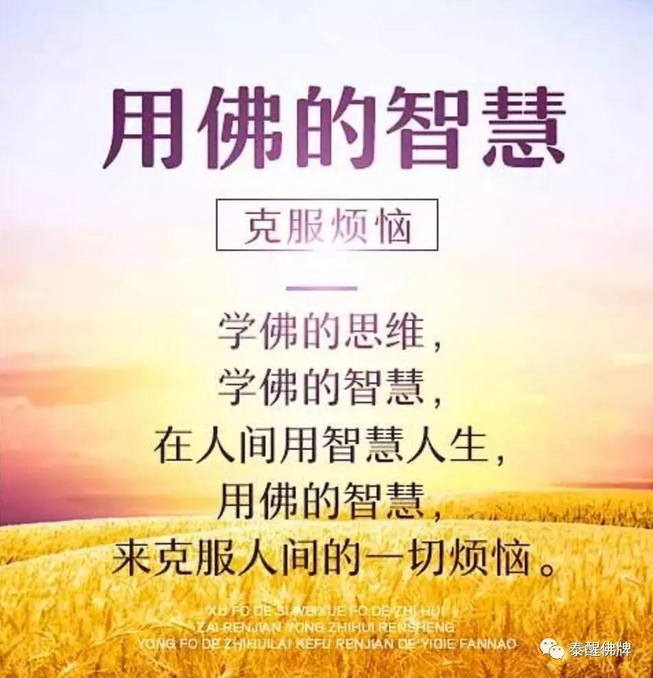 【预测来世】看看你的前生今世、三世因果、六道轮回【泰国佛牌】 【预测来世】看看你的前生今世、三世因果、六道轮回-图片9