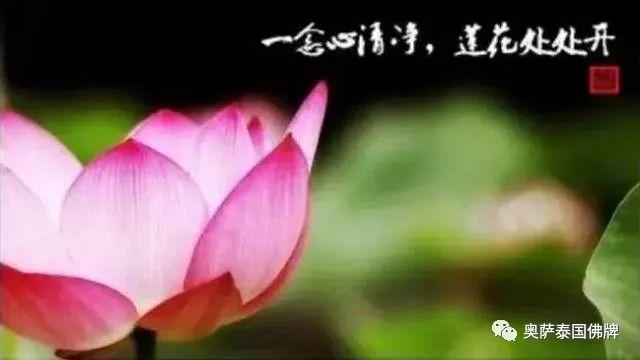 人不一定信佛，但一定要有佛性-图片1