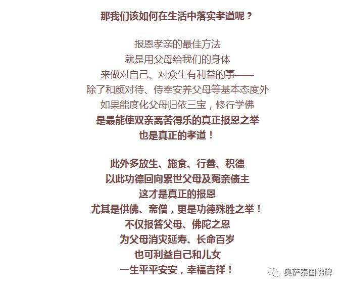 最慈悲伟大的佛就在我们身边！你有好好供养吗？-图片7