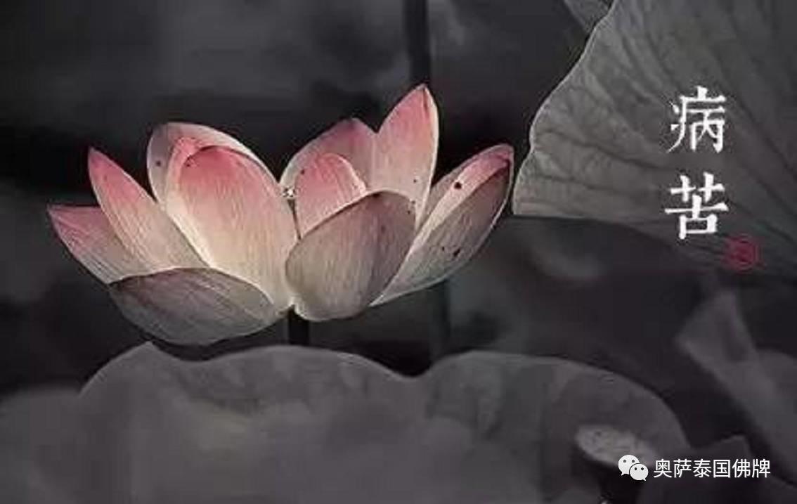 感悟禅意 佛说人生八苦-图片4