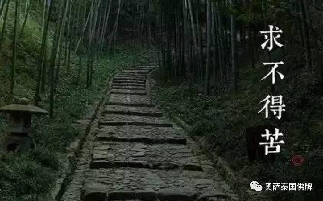 感悟禅意 佛说人生八苦-图片8