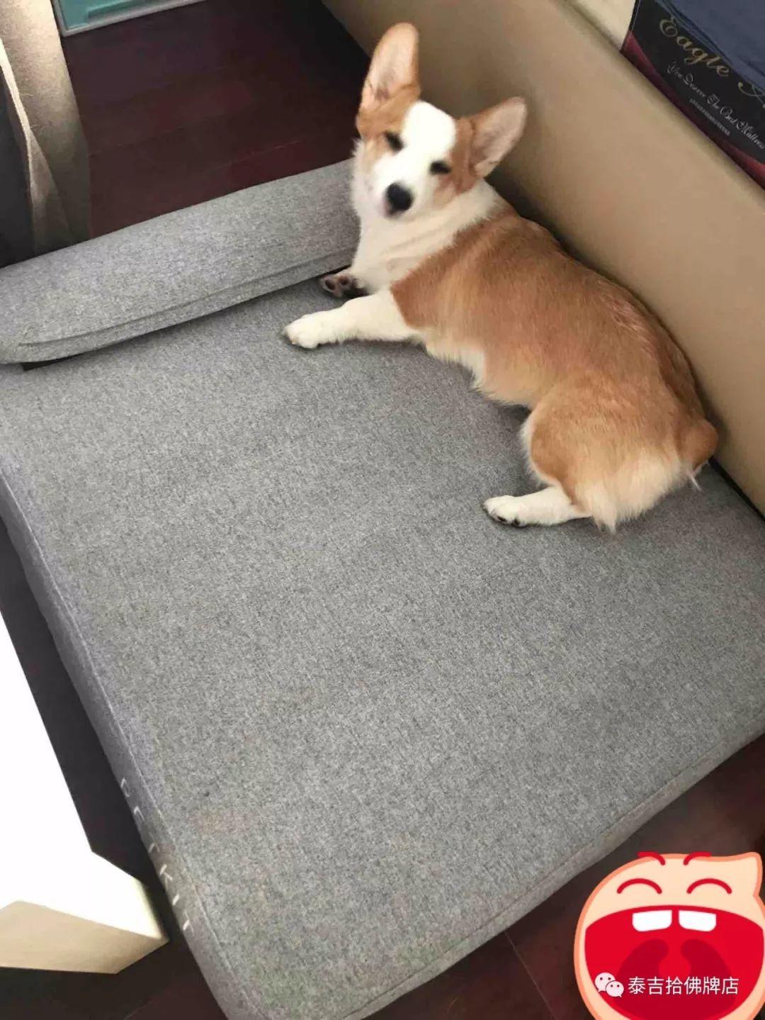 在祖国的怀抱里一条生命就这么不值钱-图片5