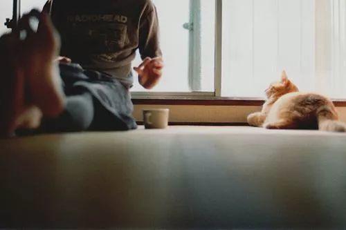 你不将就一切时，生活自然厚爱于你-图片4