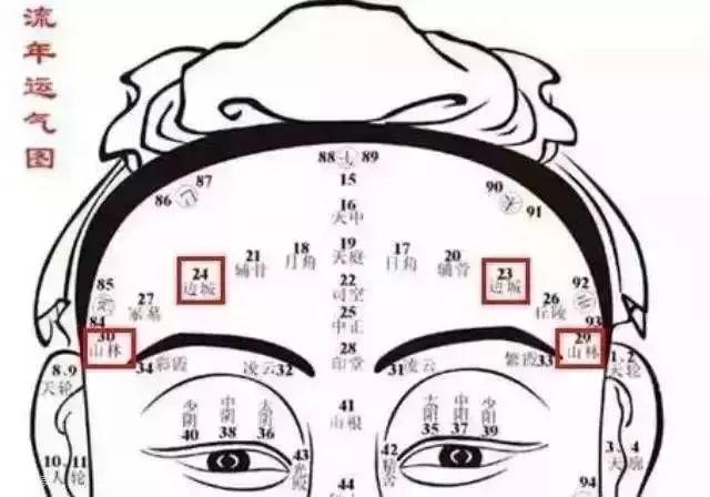 从额头看命运-图片1