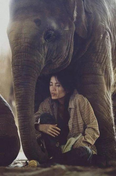 前世修行过的特征-图片2