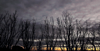 等一等，回报总会在你不经意的时候盛装莅临-图片3