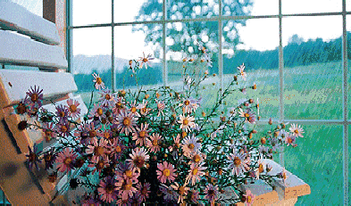 你真的见过世面吗【泰国佛牌】 你真的见过世面吗-图片5