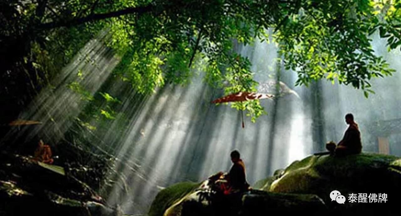 从面相看因果-图片2