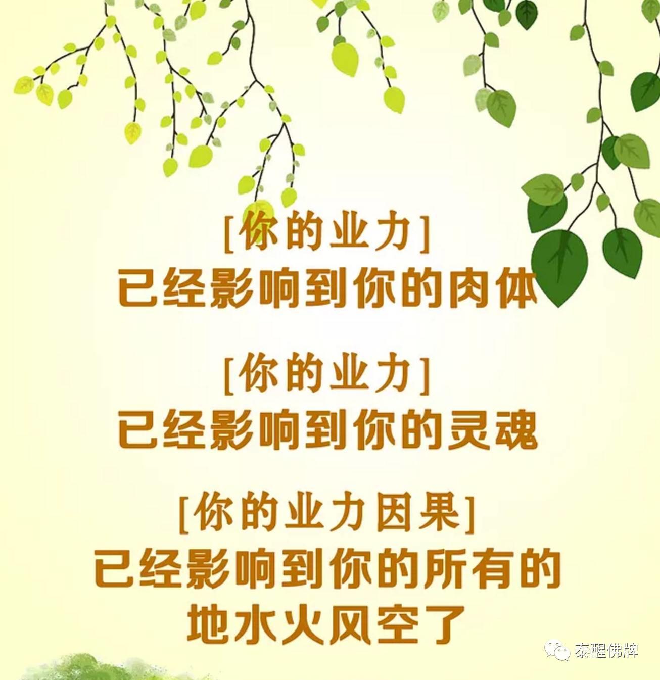 从面相看因果-图片6