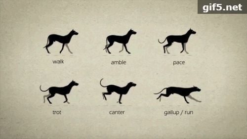 【SORRY我们说好做朋友的】祭●人类最忠诚的朋友【泰国佛牌】 【SORRY我们说好做朋友的】祭●人类最忠诚的朋友-图片10