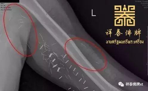 【 金针 】-图片5