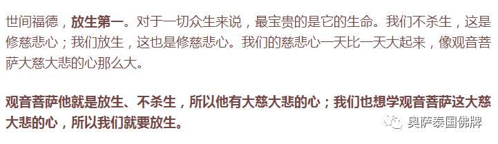 放生就是救自己，救家人，佛弟子要学会智慧地放生！-图片3