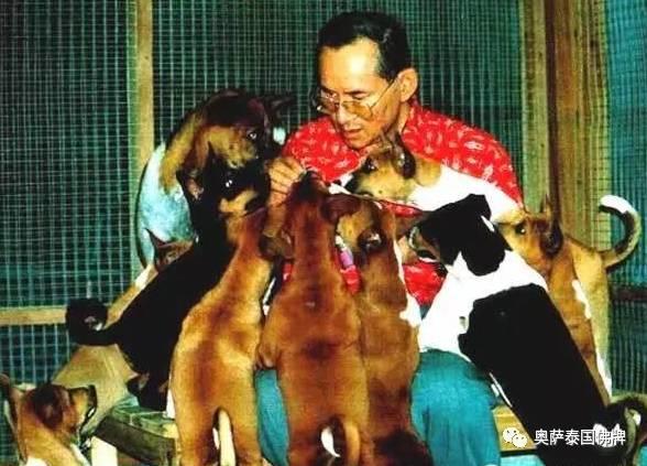 泰国九世王不为人知的那些事-图片12