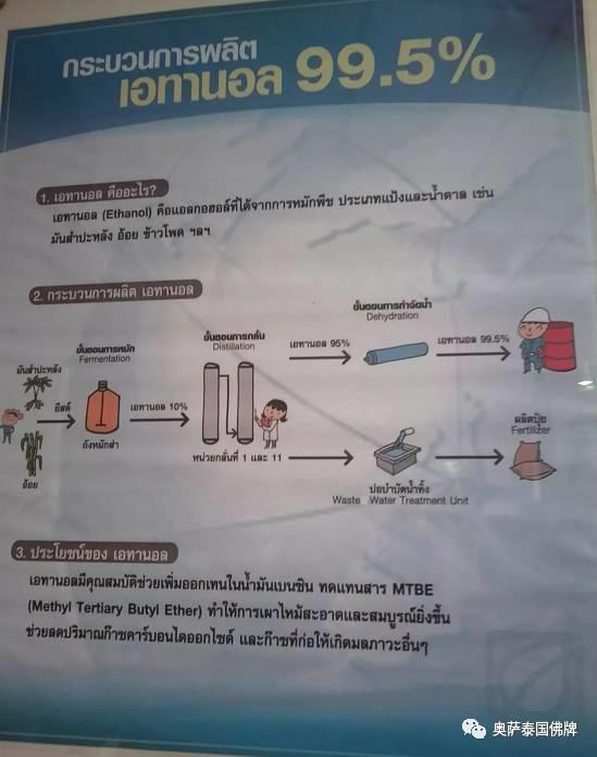 泰国九世王的皇宫世界仅有，竟全长满了“草”-图片37