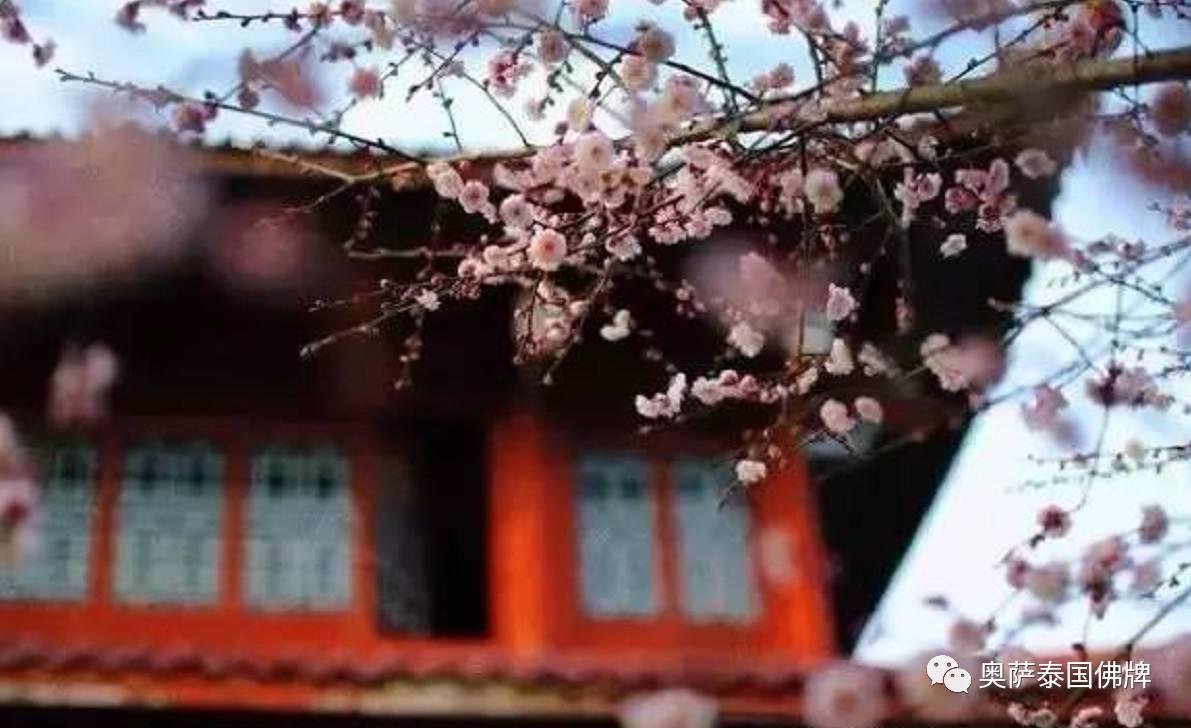 佛说人有“七情六欲”是哪七情、哪六欲?【泰国佛牌】 佛说人有“七情六欲”是哪七情、哪六欲?-图片3