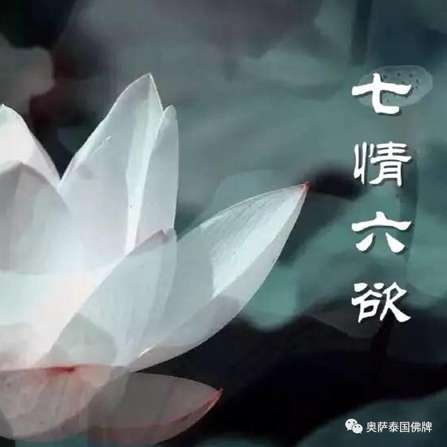 佛说人有“七情六欲”是哪七情、哪六欲?【泰国佛牌】 佛说人有“七情六欲”是哪七情、哪六欲?-图片1