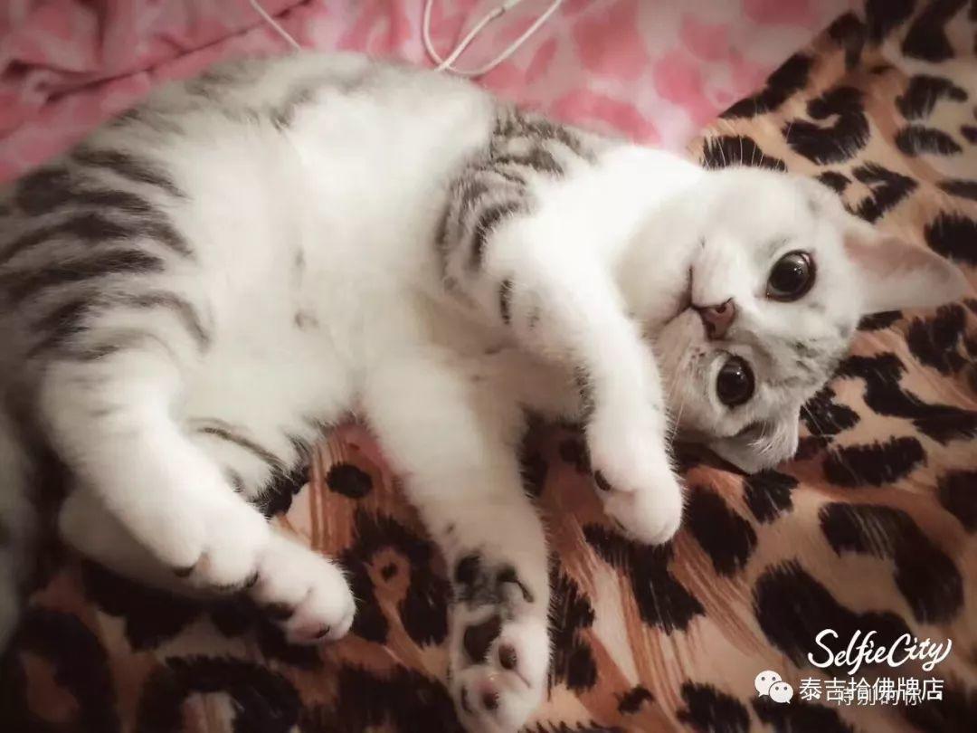 在祖国的怀抱里一条生命就这么不值钱-图片8