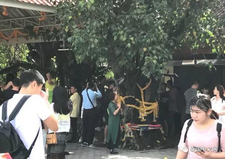 你去普吉岛怎么被（神）寺庙坑的？你自己知道吗【泰国佛牌】