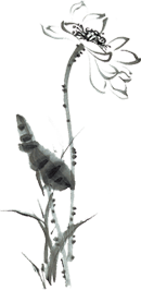 泰国佛牌图文Ⅲ | “龙婆诺(奈)椰壳拉胡”之细节甄别【泰国佛牌】 冠兰图文Ⅲ | “龙婆诺(奈)椰壳拉胡”之细节甄别-图片4