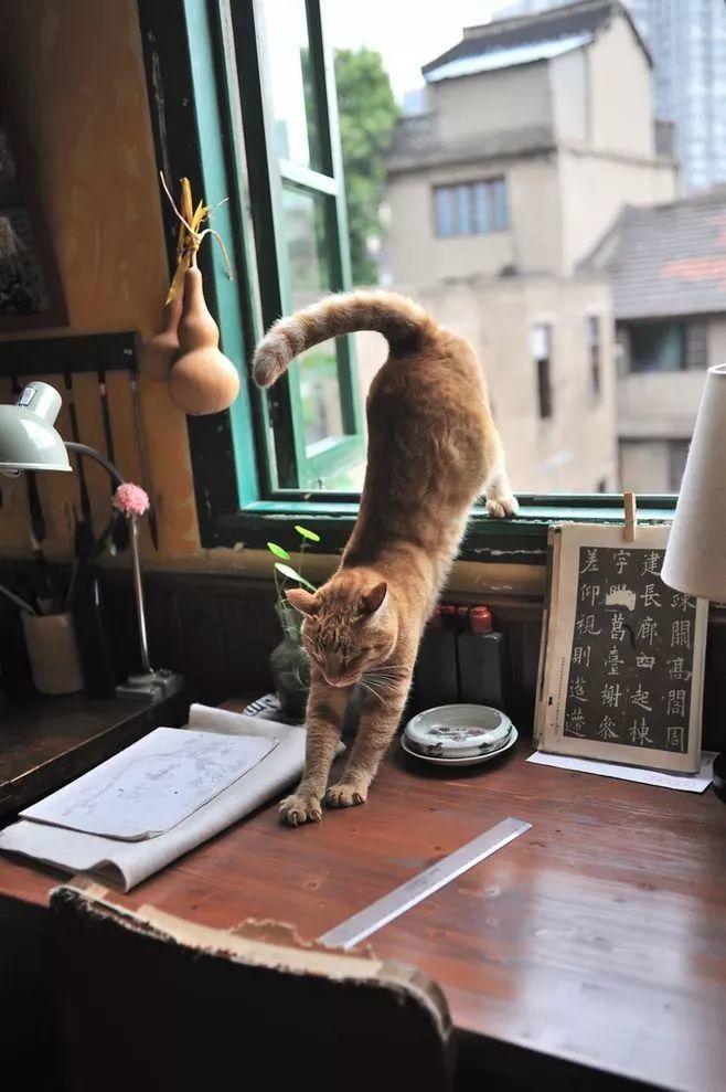 烟火中的简静-图片1