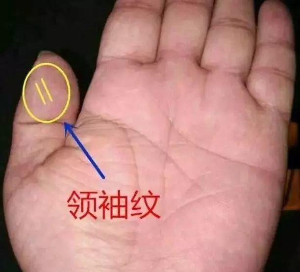 【手相】有这些纹路的人了不得【泰国佛牌】 【手相】有这些纹路的人了不得-图片3