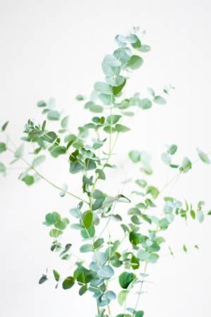 2017年8月各生肖运势-图片1