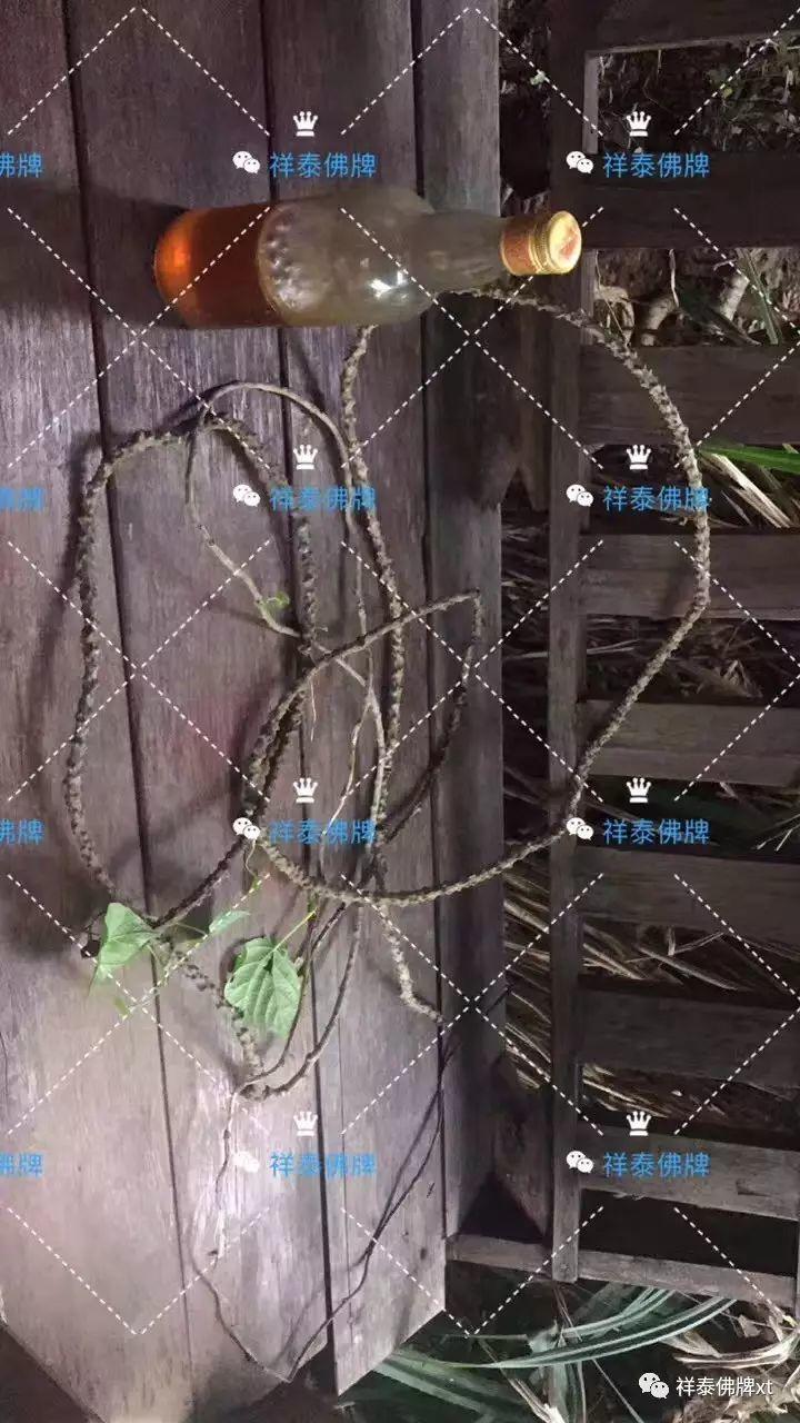 信途（七）-图片16