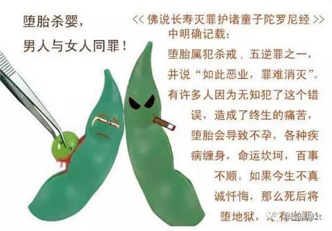 堕胎之与业障-图片8