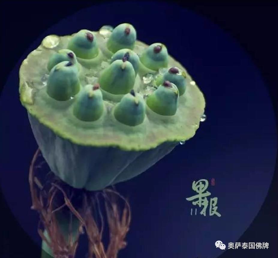 别跟因果争辩,它从来不会误会你【泰国佛牌】 别跟因果争辩,它从来不会误会你-图片3