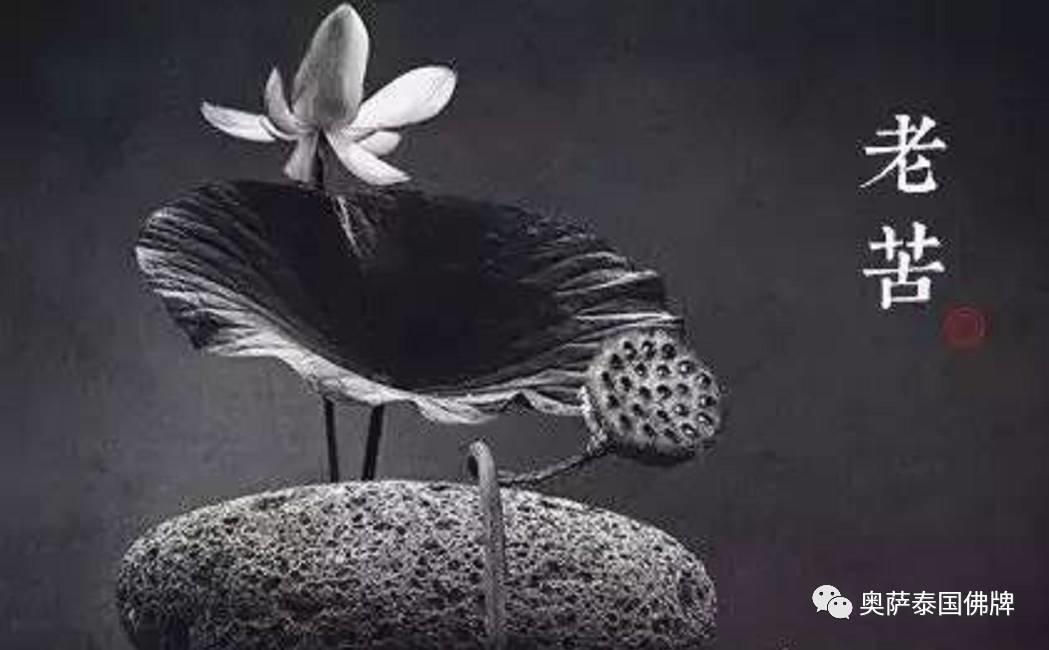 感悟禅意 佛说人生八苦-图片3