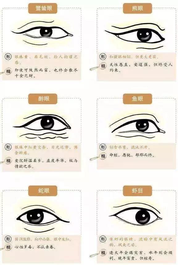 眼睛藏着你一生的命运-图片4