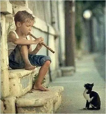 因为相欠，才会相见-图片3