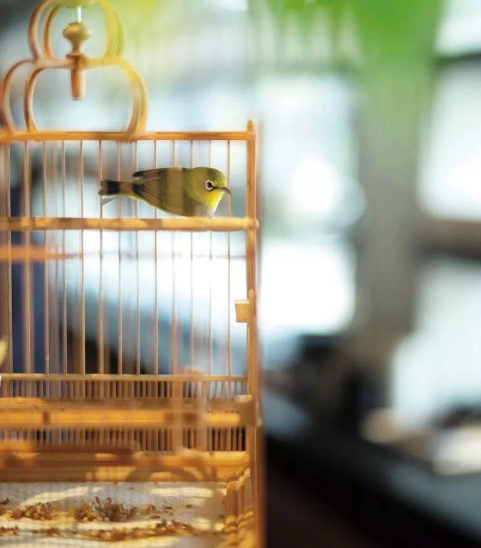 目中有人才有路，心中有爱才有度-图片1