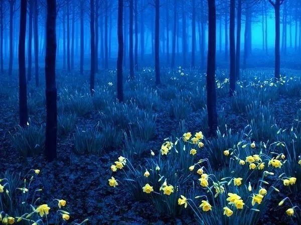 人有净气，风度自来-图片3