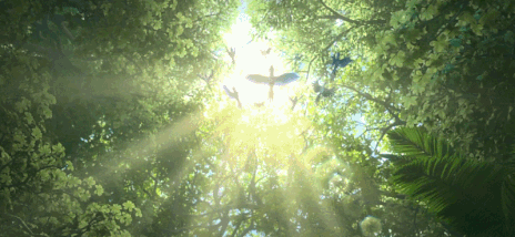 何为天意【泰国佛牌】 何为天意-图片3