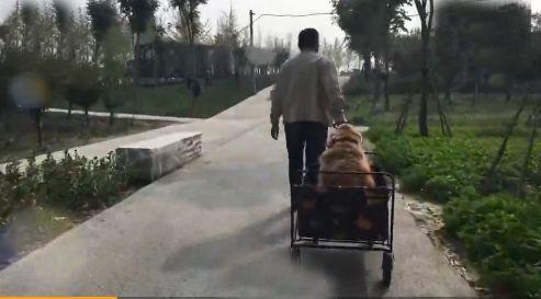 2017暖心画面，2018感恩同行【泰国佛牌】