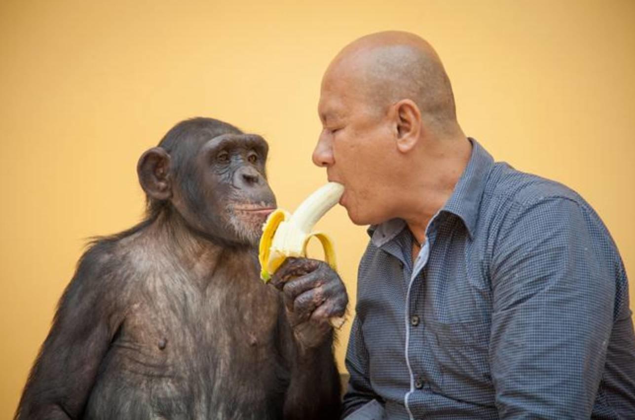 众生皆有爱——震惊人类，羞愧你我-图片3