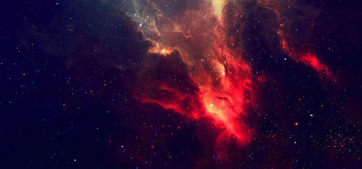 众生皆有爱——震惊人类，羞愧你我-图片4