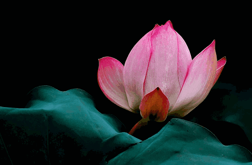 【人生需要道德储蓄】阳德、阴德、福德、功德的区别-图片1