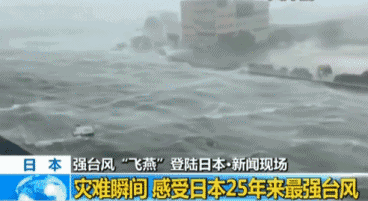 台风近期频繁发生，源于海洋众生的报复！【泰国佛牌】