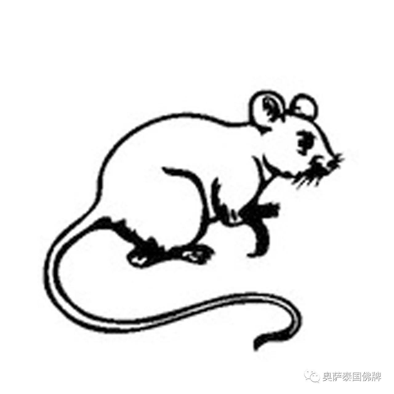 属鼠的人2018年命理运势及适合佩戴的佛牌【泰国佛牌】 属鼠的人2018年命理运势及适合佩戴的佛牌-图片1