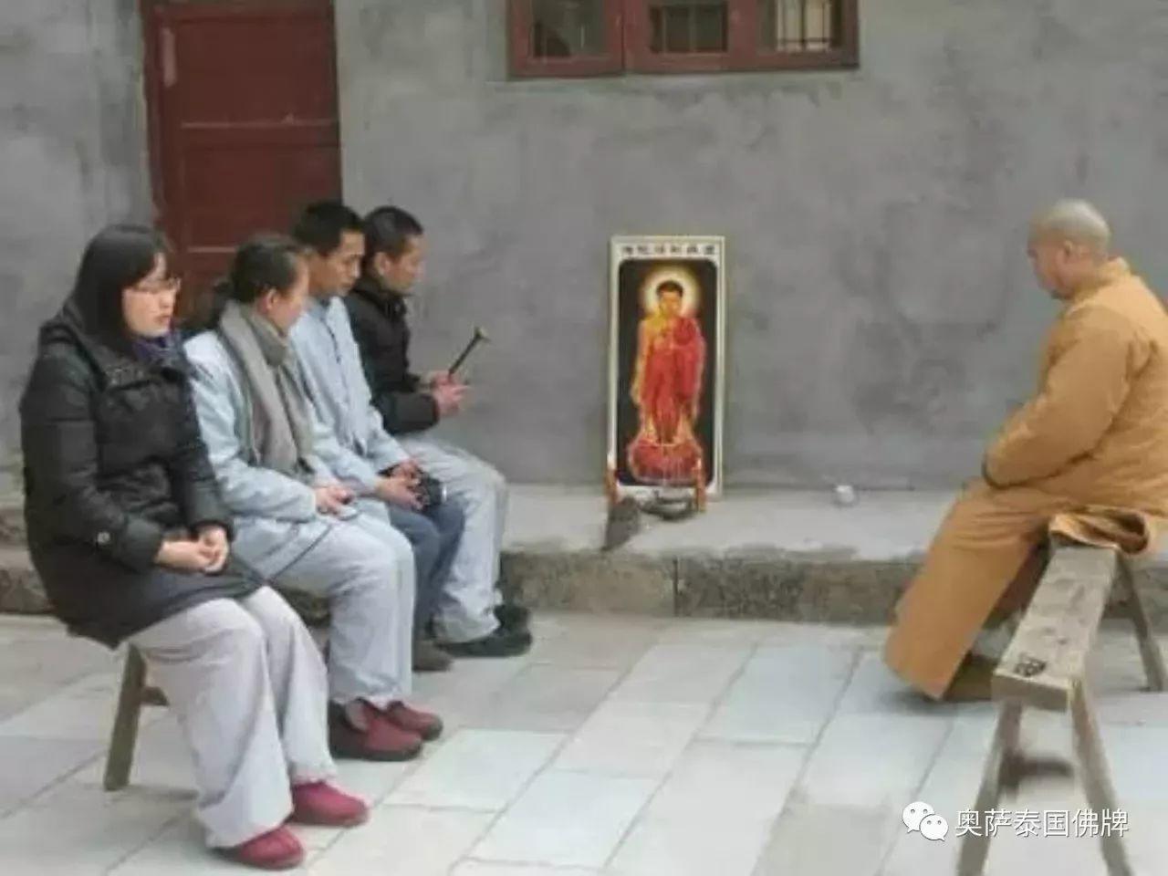 会拜佛的动物太有爱了!当你生气的时候不妨看看【泰国佛牌】 会拜佛的动物太有爱了!当你生气的时候不妨看看-图片13