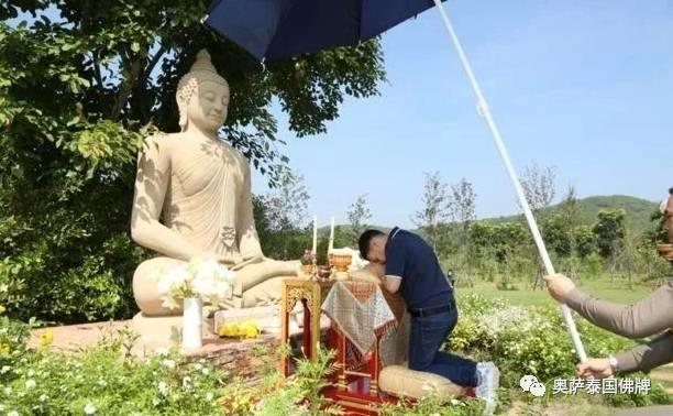 九世王升天后，泰国王子成重点培养对象-图片6