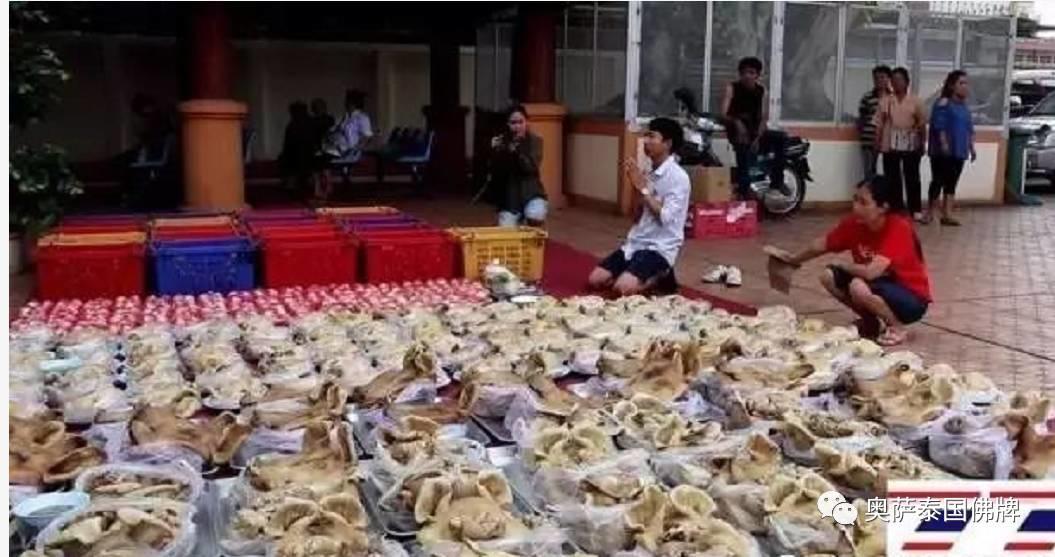 豪华版还愿再上演 泰国华裔律师还愿供奉物品满三车【泰国佛牌】 豪华版还愿再上演 泰国华裔律师还愿供奉物品满三车-图片1