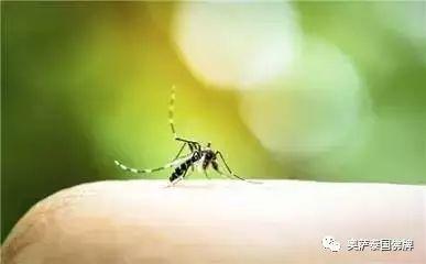 祈福四川，祈福新疆，愿一切安好！-图片16