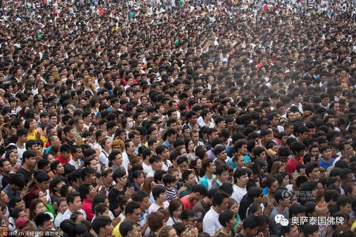 泰国佛教徒用钢针刺肉纹身-图片13