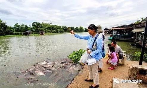 佛统府Lam Phaya水上市场吃喝玩乐全都在这！！！-图片5