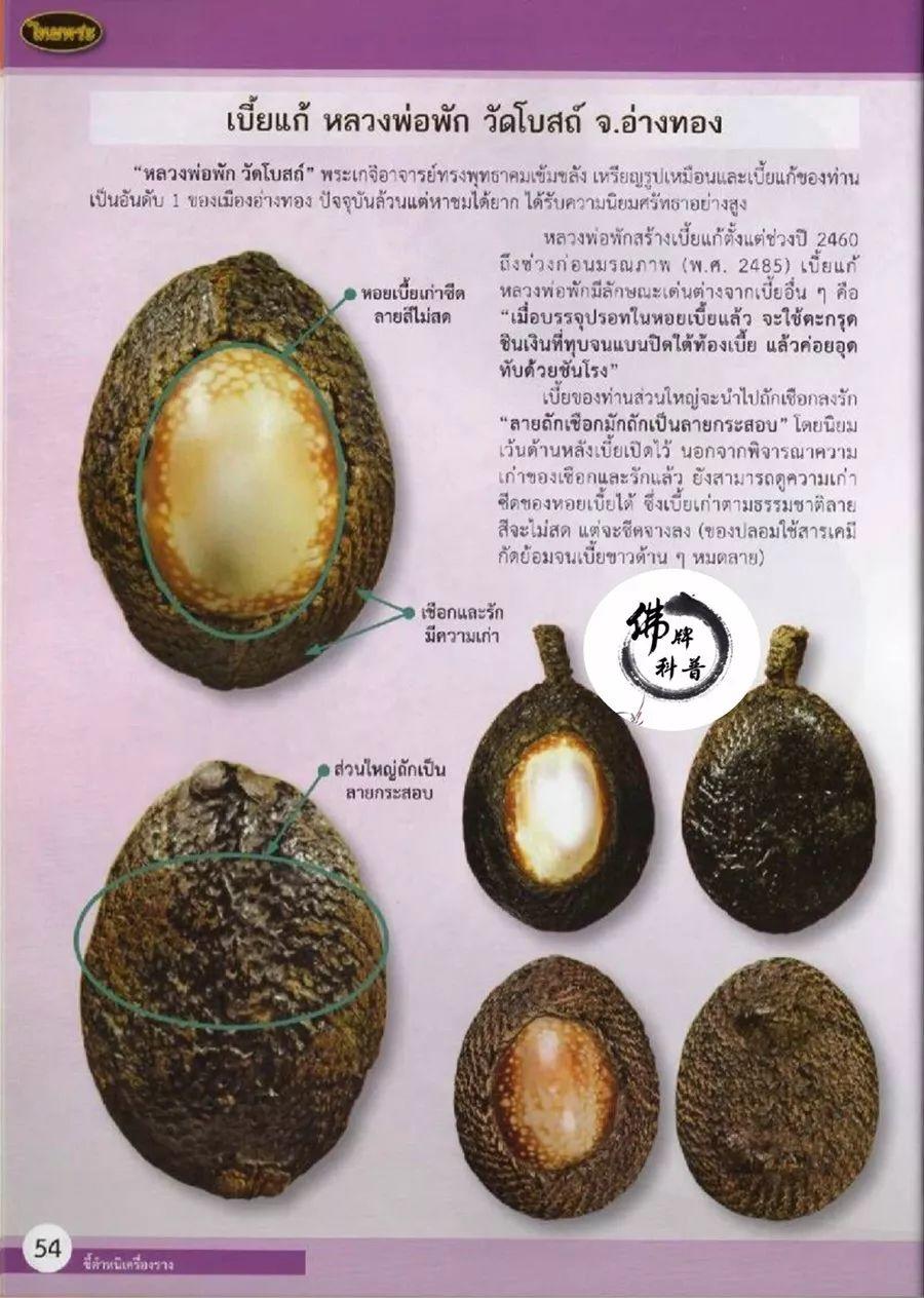 泰国佛牌图文Ⅹ | “挡降贝(Bia gae),龙婆Phak,波寺(Wat Bot),红统府”之甄别细节【泰国佛牌】 冠兰图文Ⅹ | “挡降贝(Bia gae),龙婆Phak,波寺(Wat Bot),红统府”之甄别细节