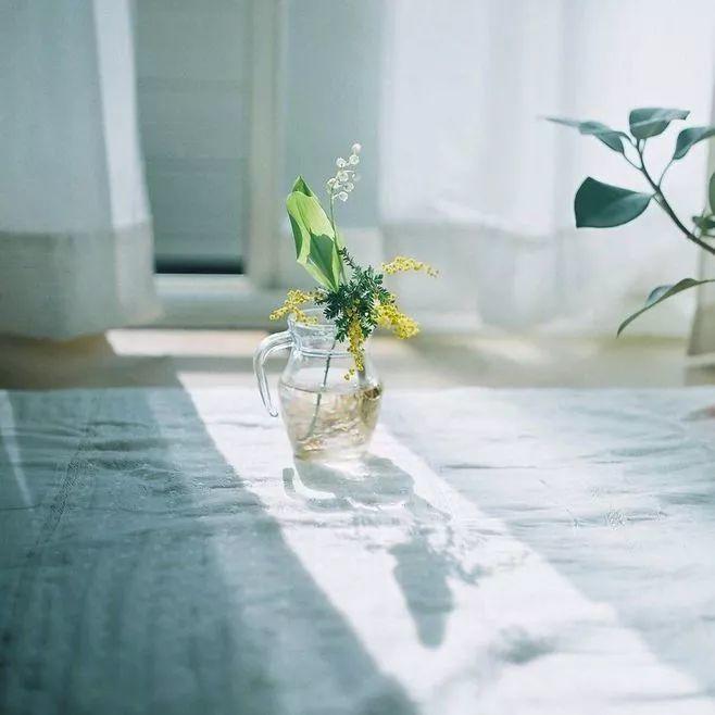 烟火中的简静-图片2