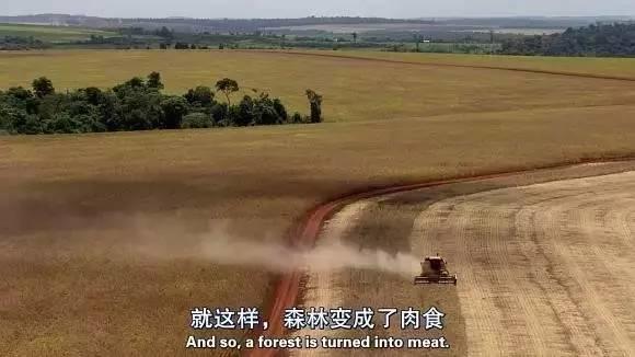 一部绝对震撼心灵的纪录片（强烈建议收藏观看）【泰国佛牌】